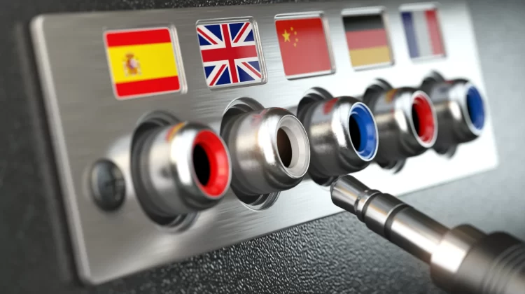 Government Translation Services_ Why They Are Essential